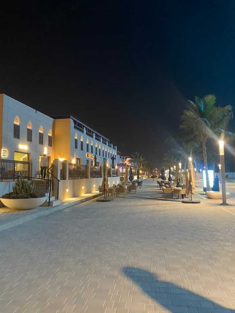 Osvětlená promenáda s palmami po setmění